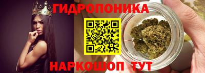 прущие грибы Нальчик