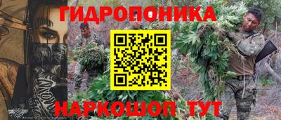 прущие грибы Нальчик