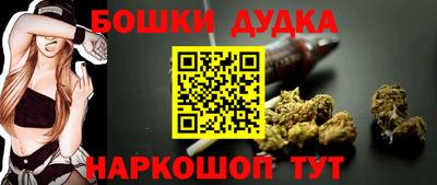 прущие грибы Нальчик