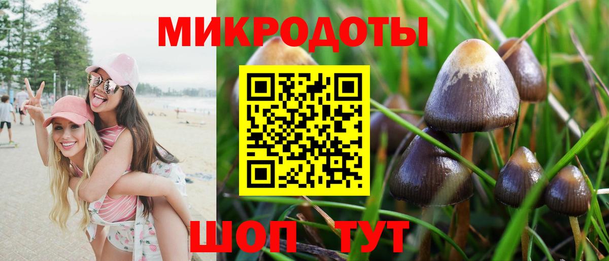 наркотики  Вход с VPN  Урус-Мартан  Псилоцибиновые грибы Magic Shrooms 